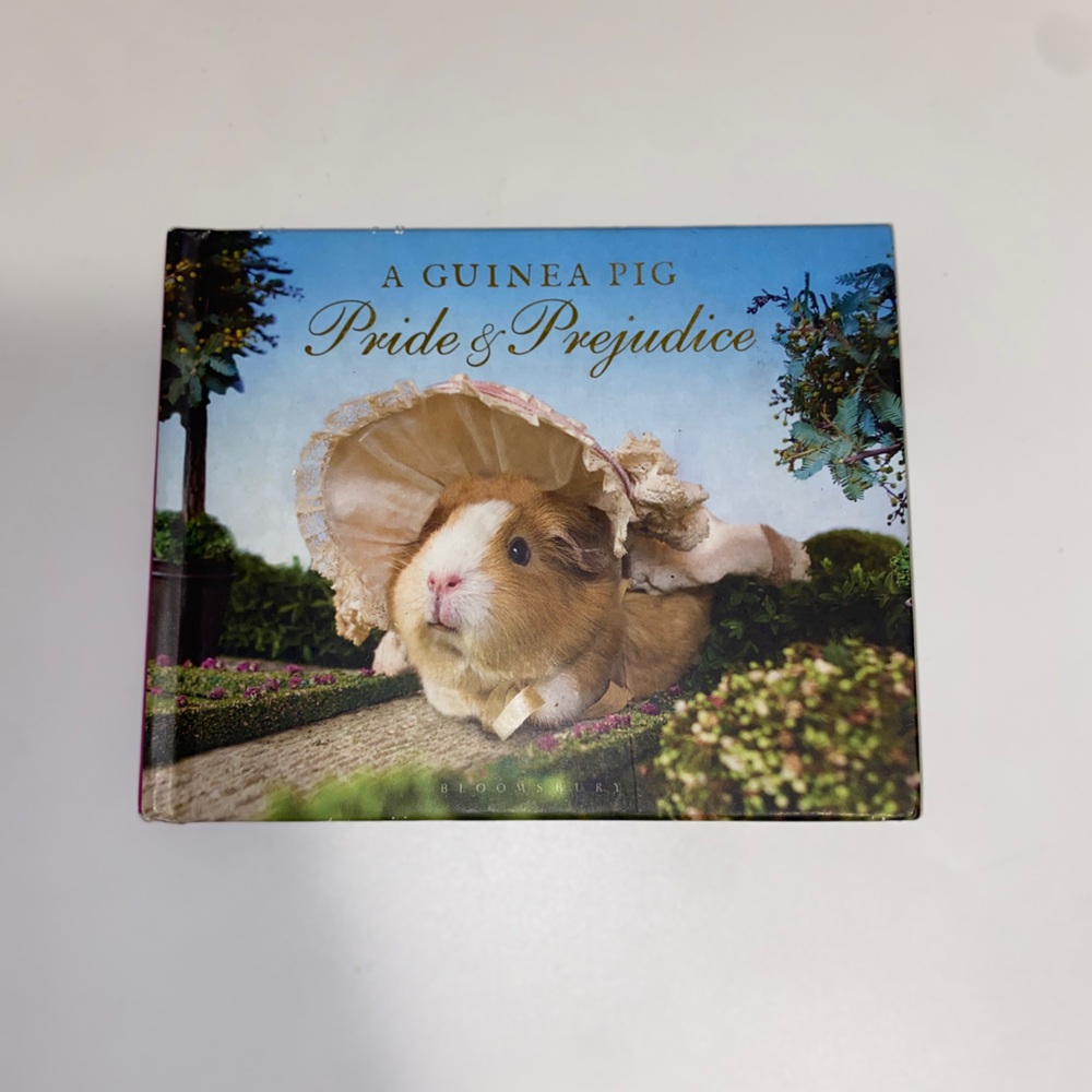 A Guinea Pig Pride & Prejudice Book